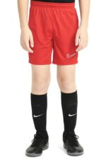 شورت و شلوارک مردانه  ایران مال Nike با کد CW6109
