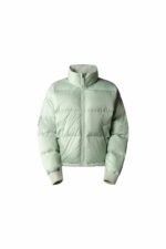 کاپشن نورث فیس ایران مال The North Face با کد NF0A3YSDI0G1