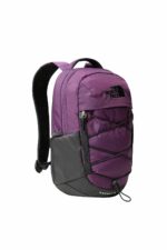 کوله پشتی نورث فیس ایران مال The North Face با کد NF0A52SW6NR1