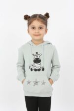 سویشرت  ایران مال Toontoy با کد TYC00501459199